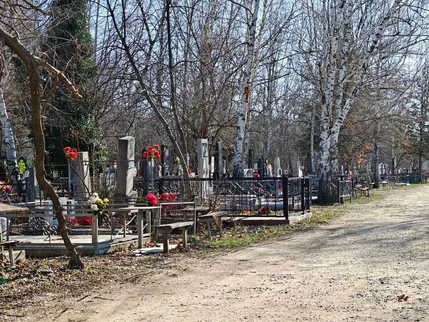    Фото: Юрий Серебренников/BFM Кубань