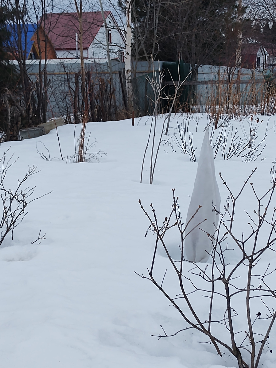 Зимушка зима ещё.