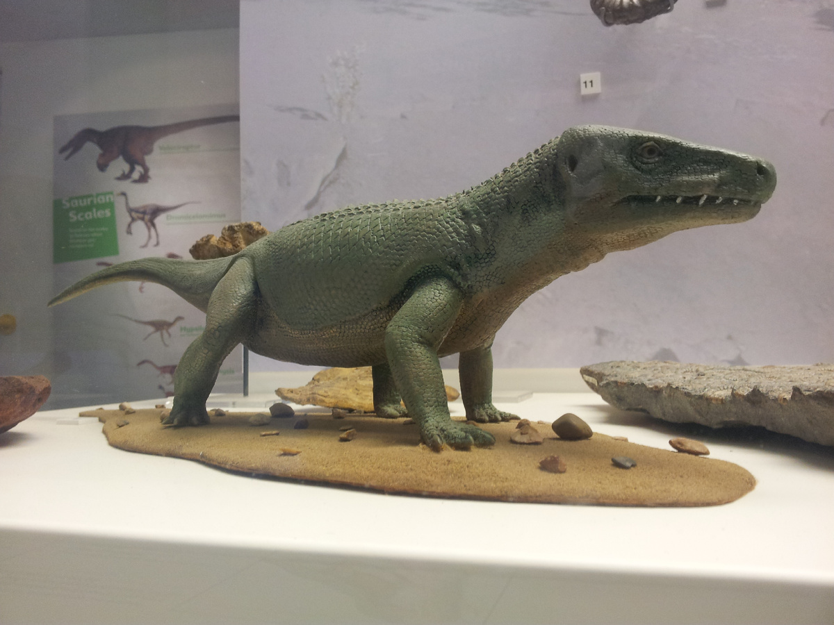 Скульптура эупаркерии из музея в Йоркшире.