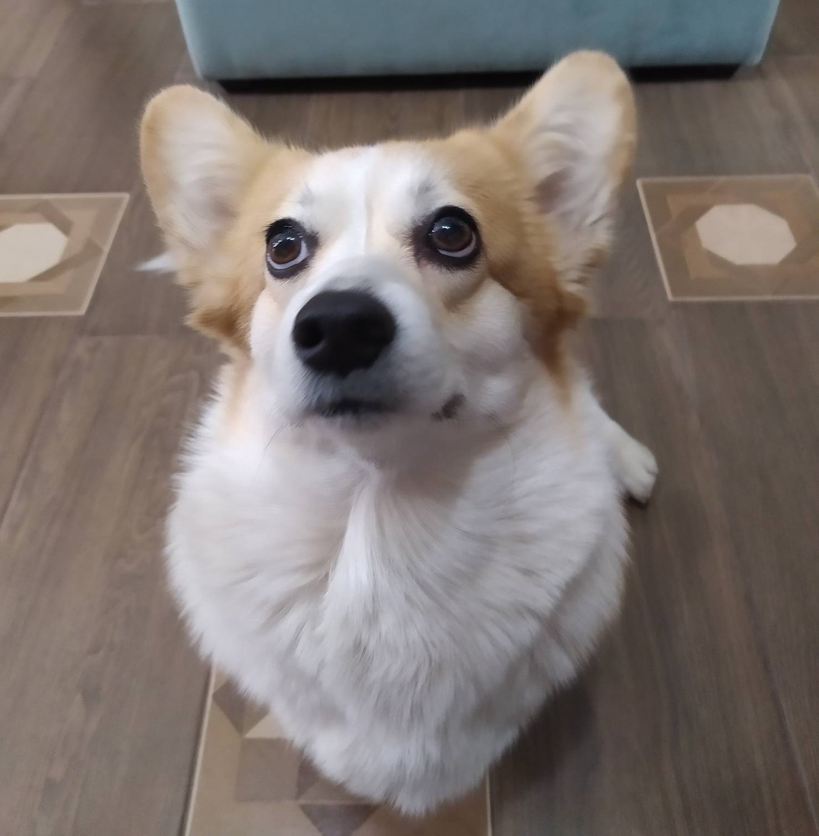 Разве эти глаза могут лгать