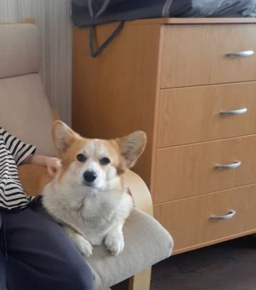 Максимальный уровень важности