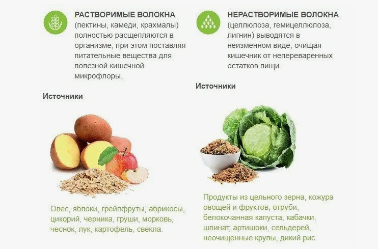 Клетчатка — секретное оружие твоего кишечника! 🦸‍♀️🍏