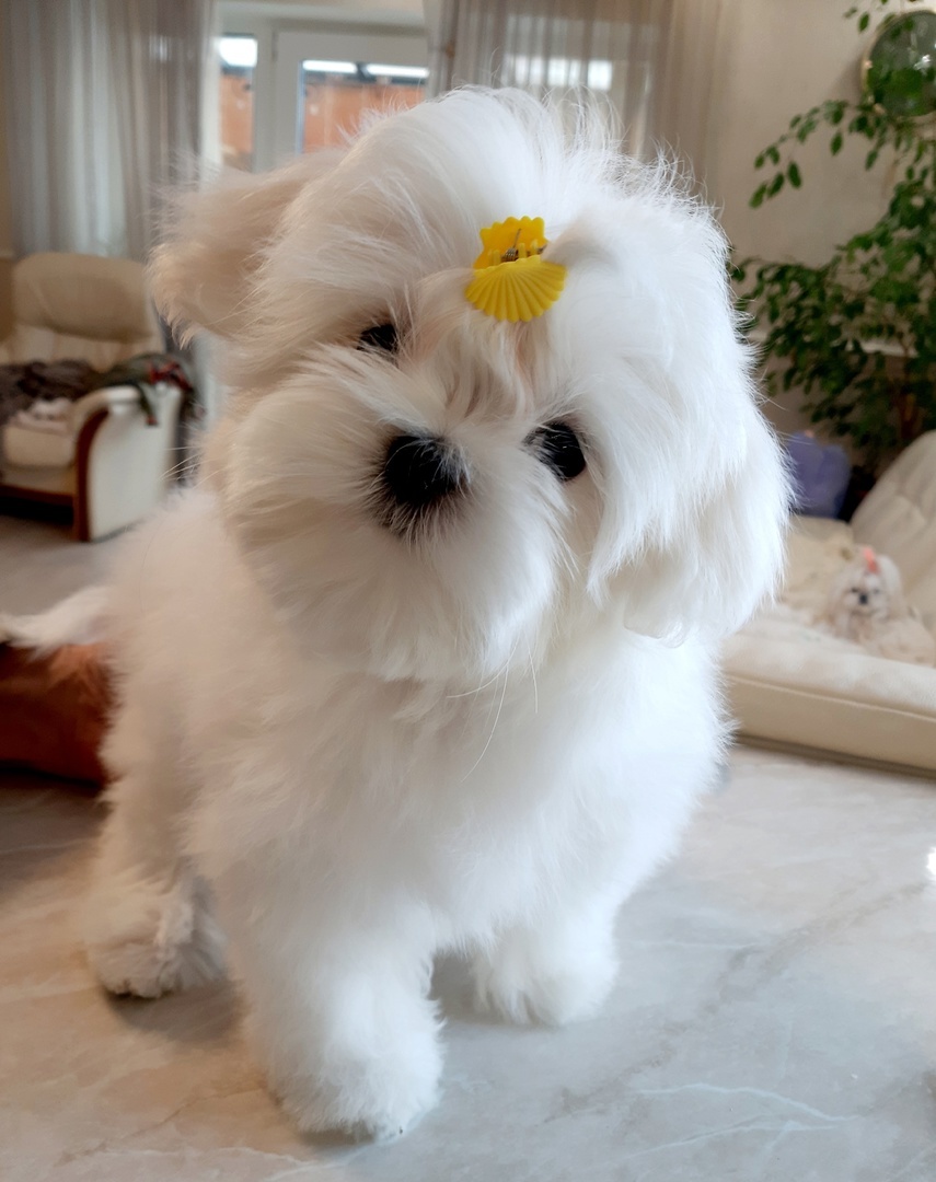 Наши крошки повзрослели 💕