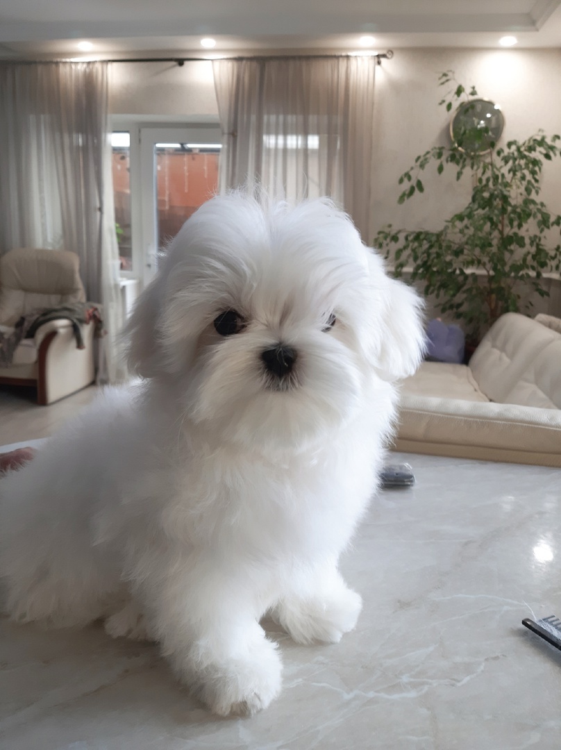 Наши крошки повзрослели 💕