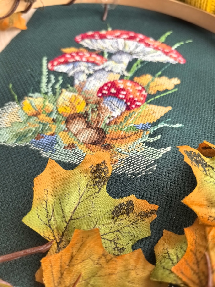 Когда-то в далёком лесу, среди густых зелёных деревьев и шумных речных потоков, рос гриб мухомор. С виду он был как обычные мухоморы, с яркой красной шляпкой и белыми точками. Но этот гриб был особенным, он обладал волшебной силой и тот, кто прикасался к его красной шляпке, раз в год мог загадать одно желание, и это желание обязательно исполнялось.
