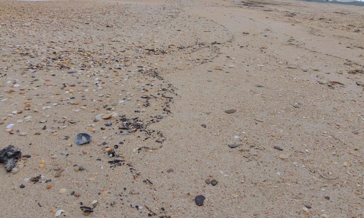    Фото оперативный штаб Краснодарского края