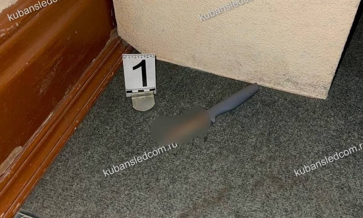    Фото t.me/kubansledcom