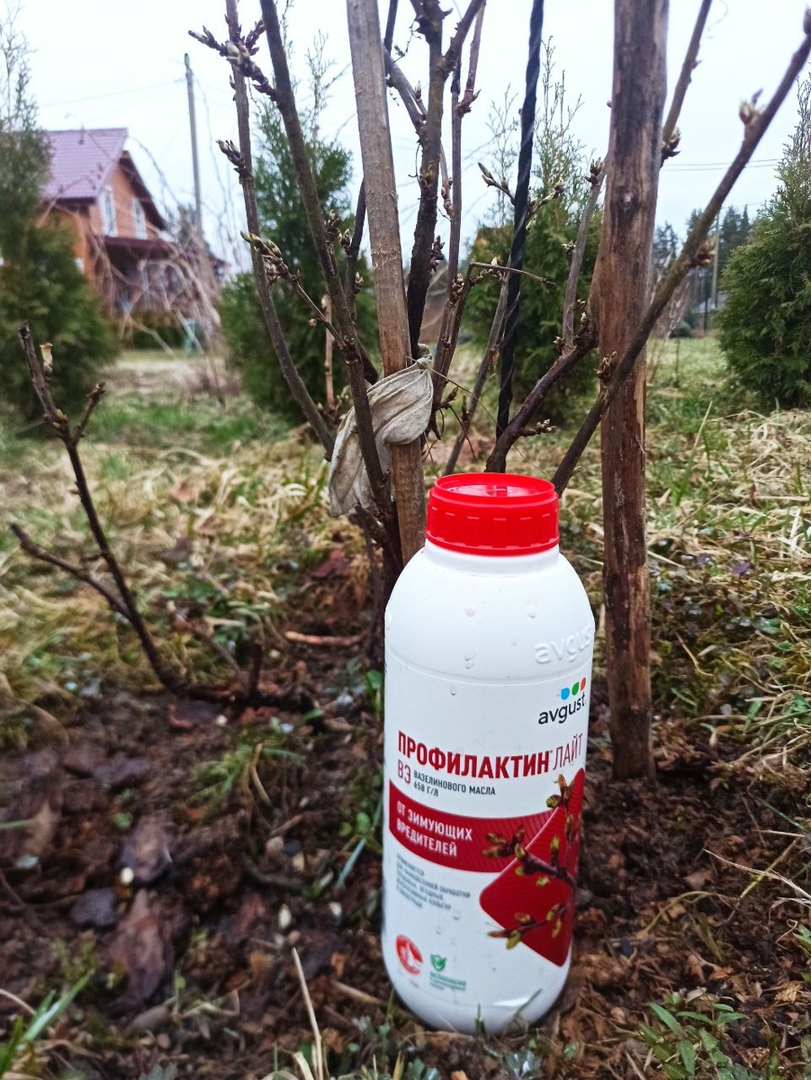 Профилактин