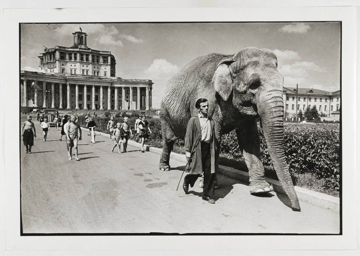 Эммануил Евзерихин. По улицам слона водили. СССР, Москва, после 1945. РОСФОТО