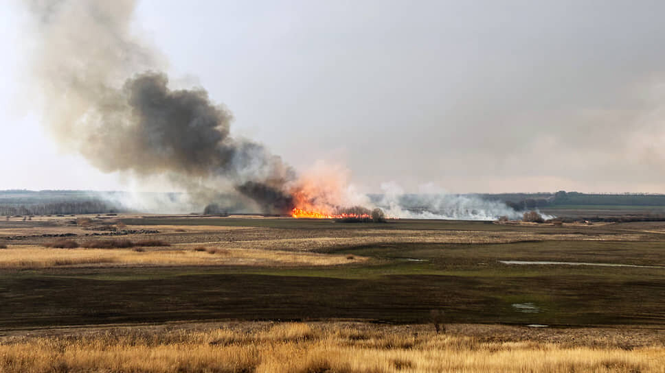 Фото: Мария Старикова / Коммерсантъ