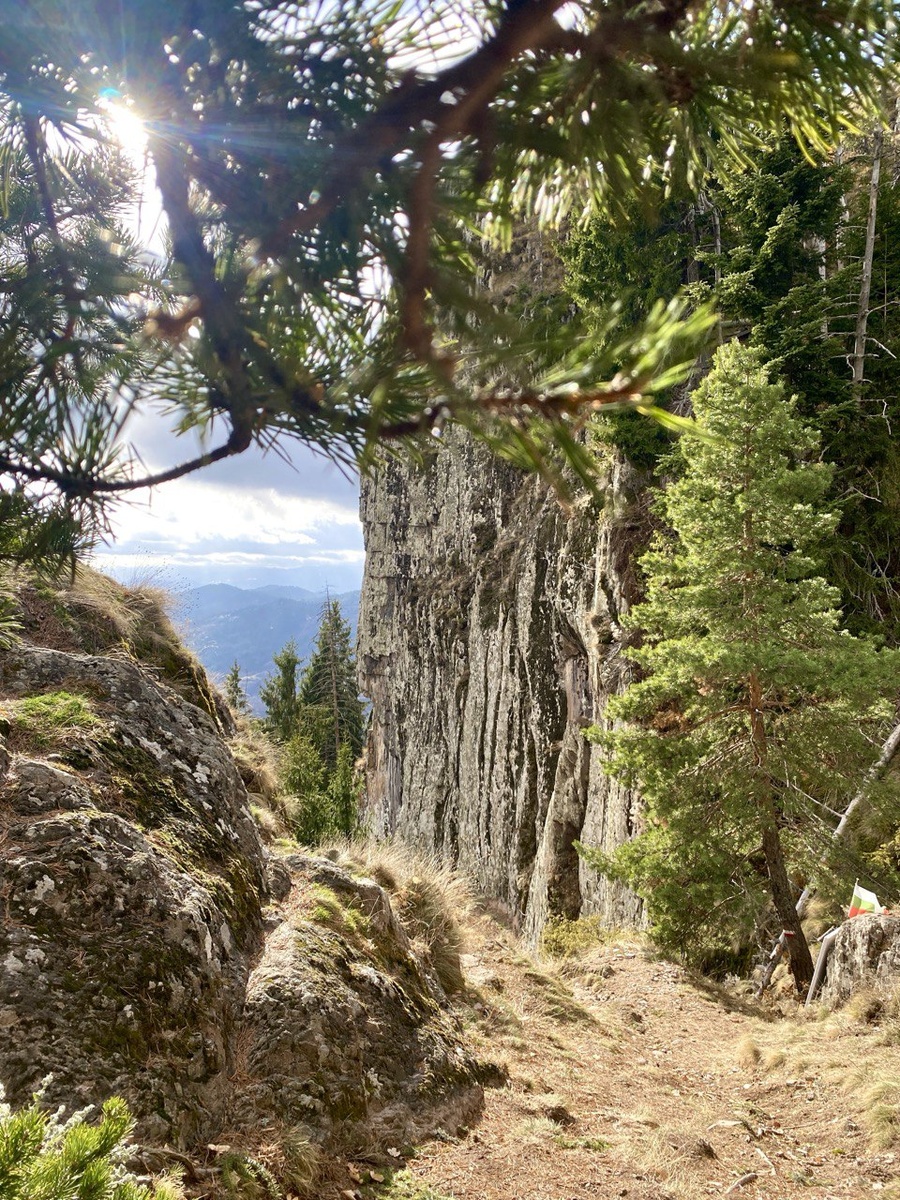 Где-то в Родопах
