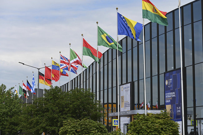    Петербургский международный экономический форум ПМЭФ флаг флаги ДНР флаг