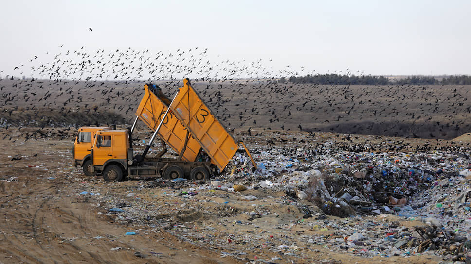 Фото: Геннадий Гуляев / Коммерсантъ