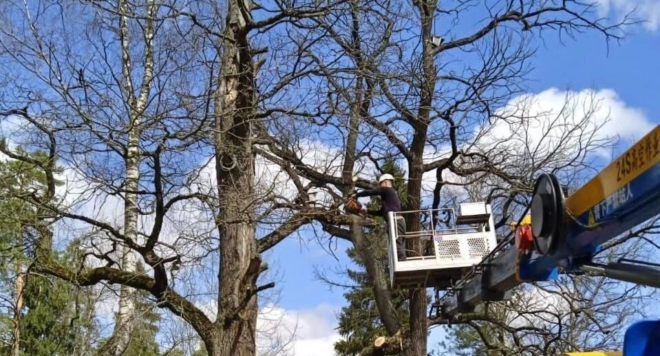    Министерство по содержанию территорий и государственному жилищному надзору Мо