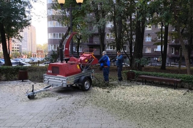    Майеру вменяли крупные финансовые нарушения при реставрации ростовского парка «Вересаево». Фото: администрация Ростова