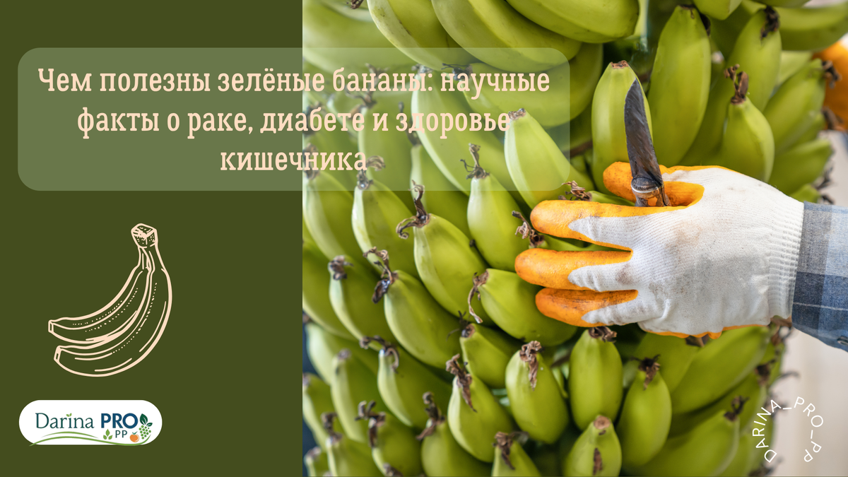 зеленые бананы полезнее желтых