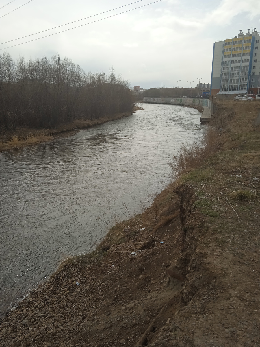 Река Ушаковка. Пейзажик сегодня не радостный.