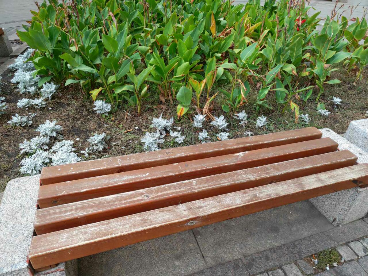 Фото автора.