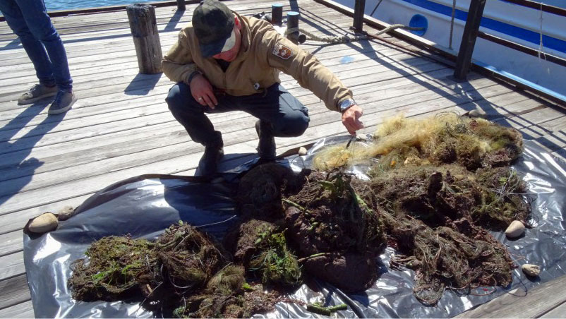 Капроновые сети могут ловить рыбу сотни лет, пока не распадутся на микропластик. Фото из открытых источников