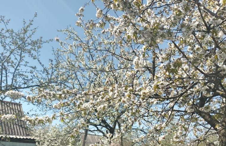 Фото Валентины..