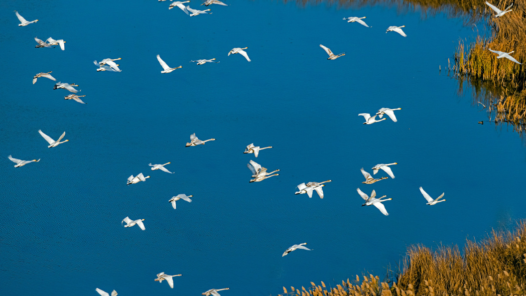    Serguei Fomine/Globallookpress