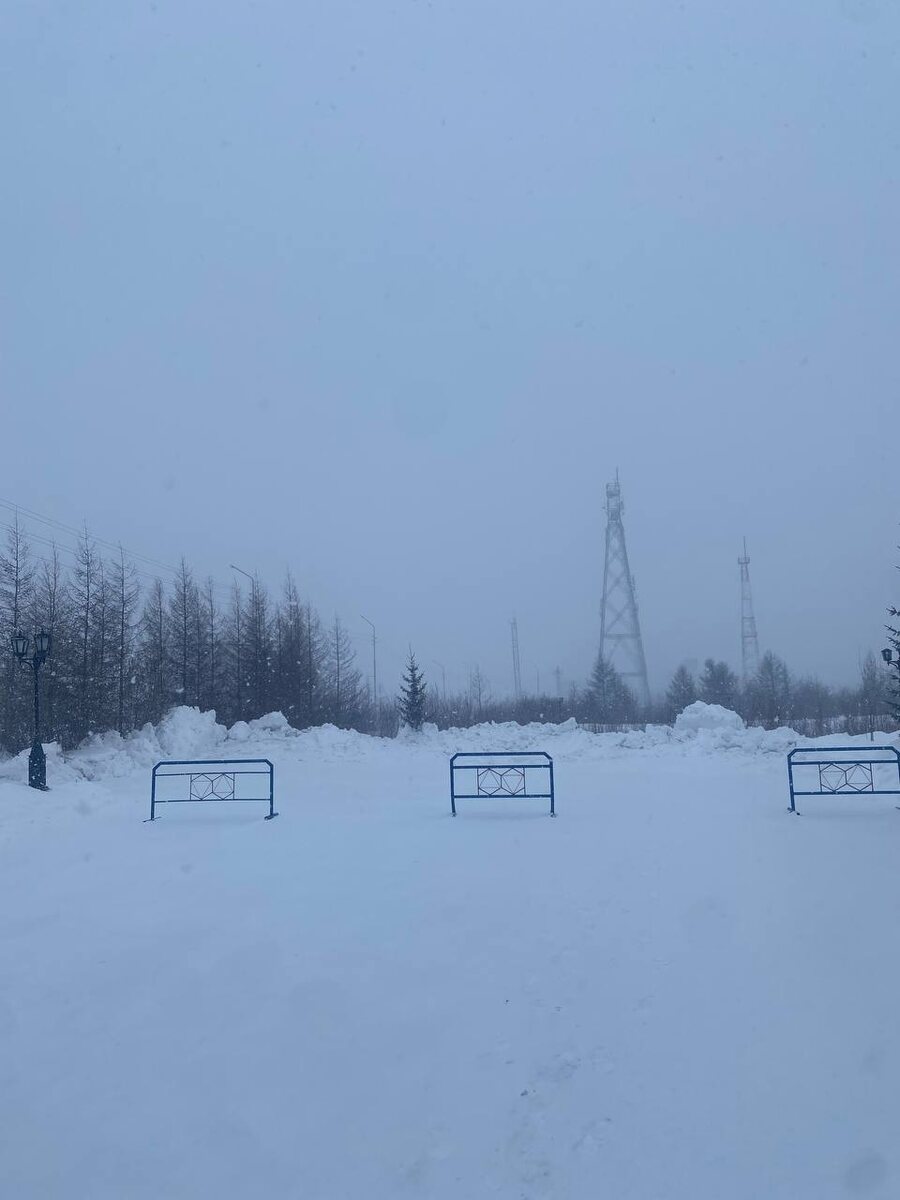 Снежный вечер