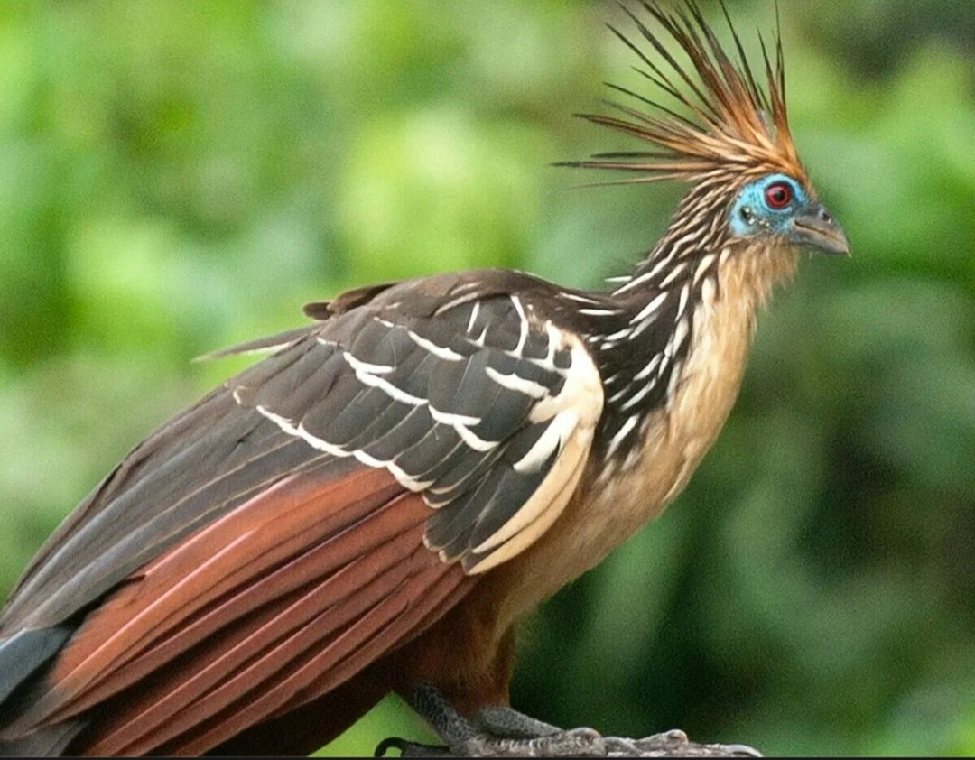 - Саня ты вообще высыпаешься? - Куда высыпаюсь?