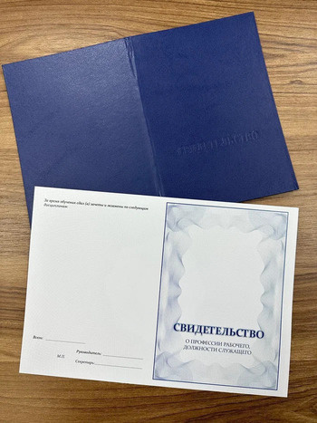 Лицензия, Свидетельство о профессии