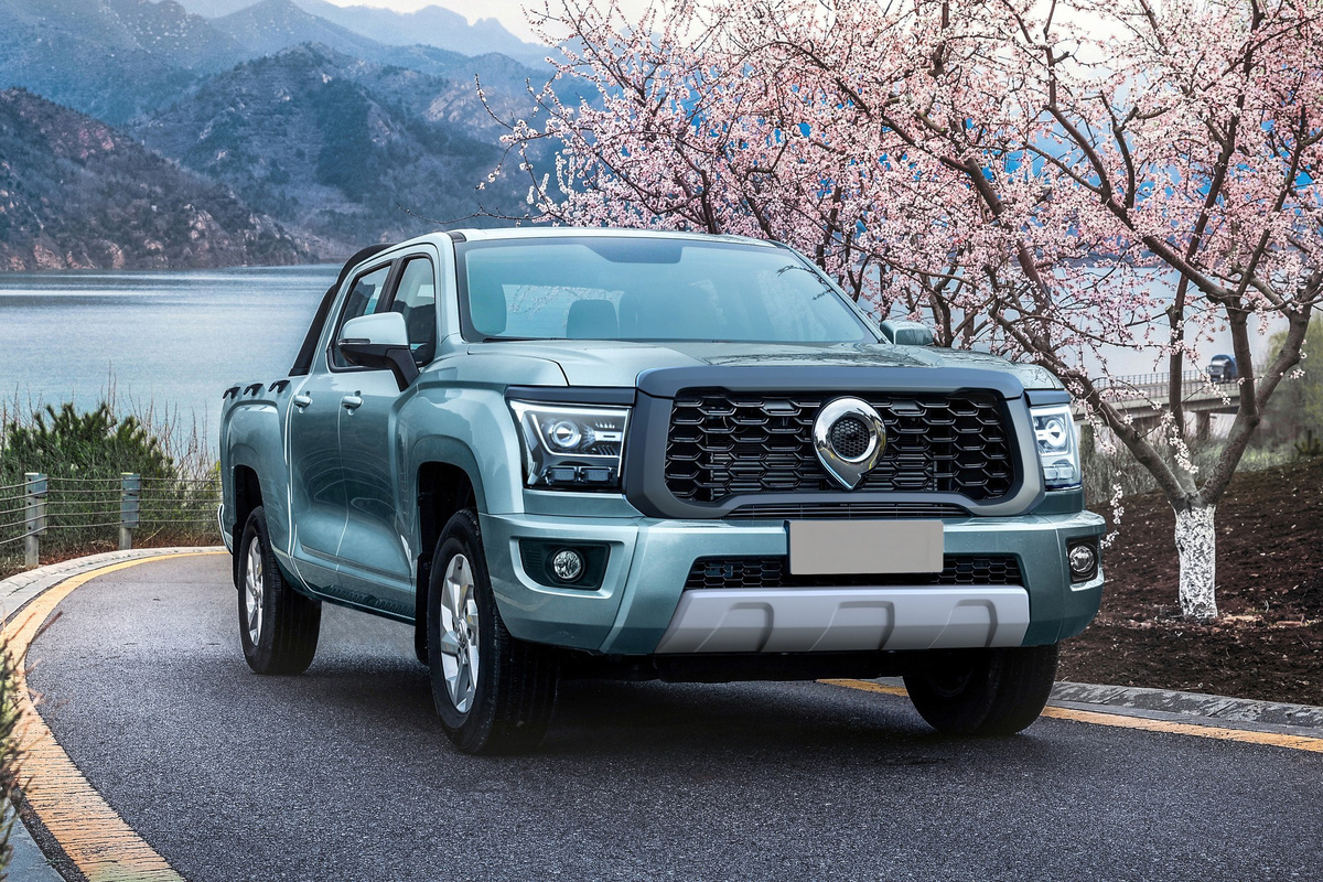 Great Wall Poer, фото из интернета