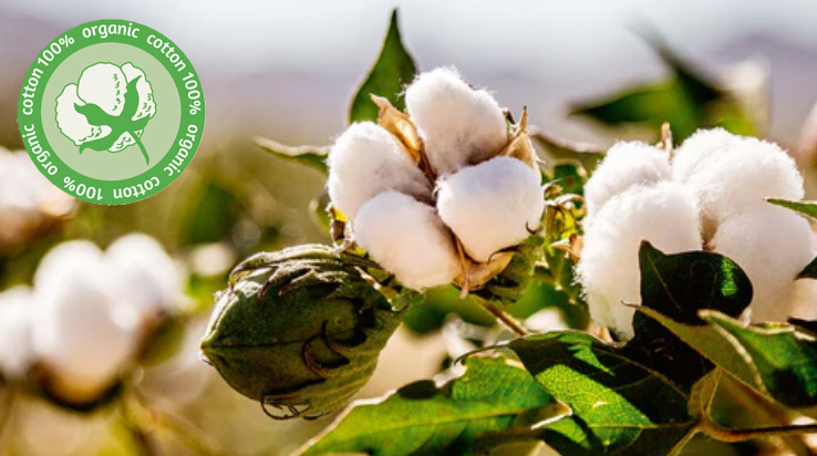 Органический хлопок