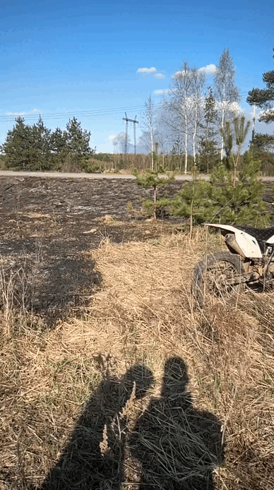    Видео очевидцев