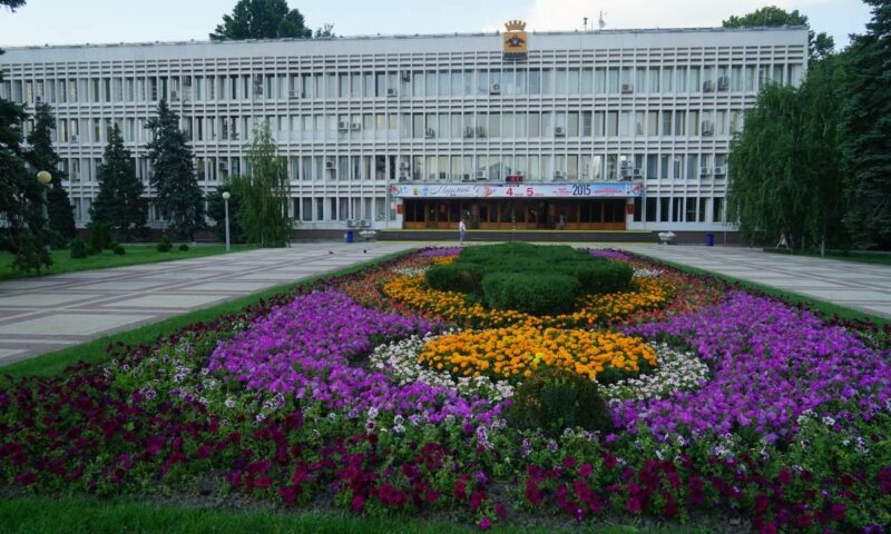    Фото Виктории Перевязко, «Кубань 24»