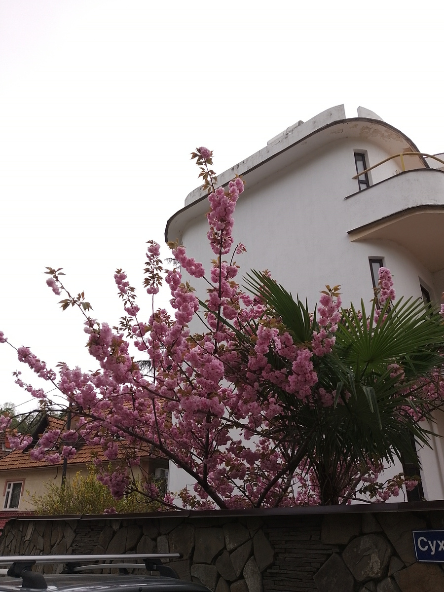 Фото из личного архива автора статьи