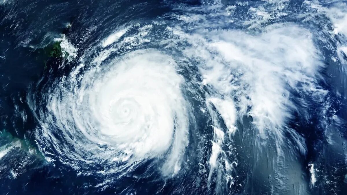    Сгенерировано ИИ