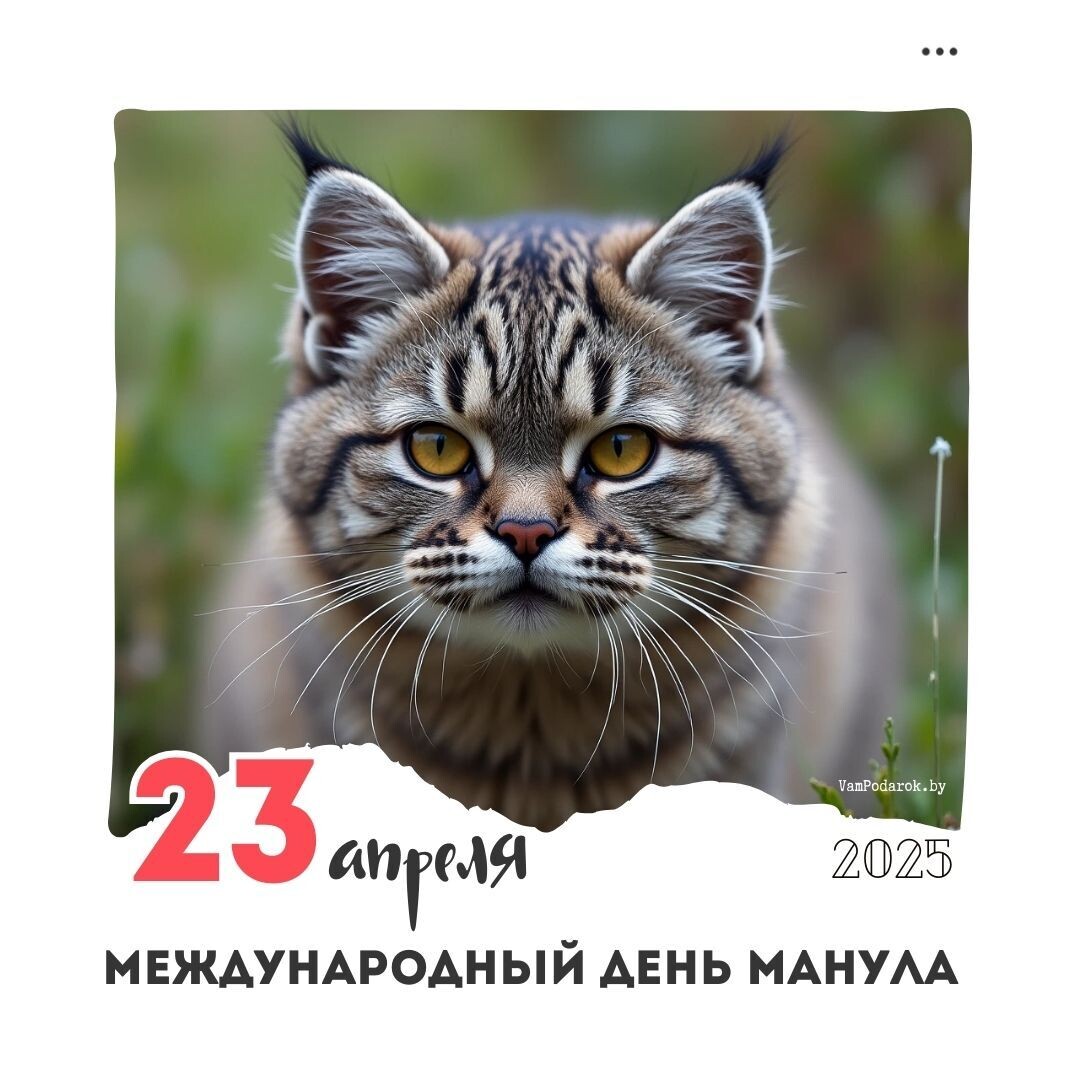 23 апреля - Международный день манула