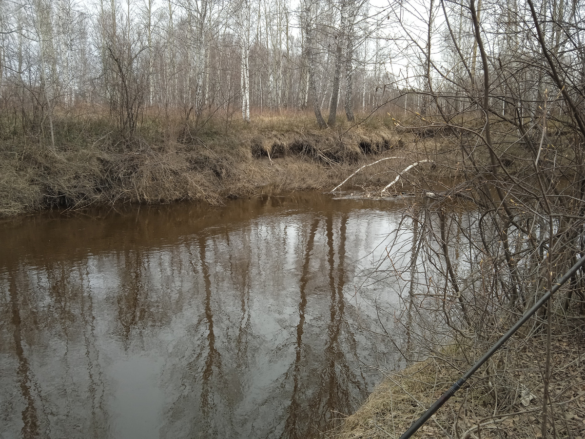 Сибирская таёжная речка Ук