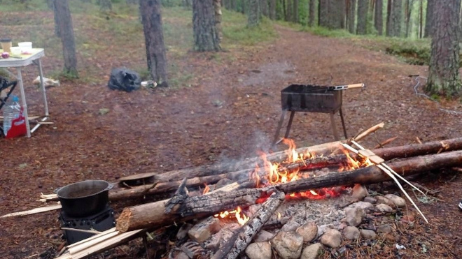 Фото: Госэконадзор Ленобласти
