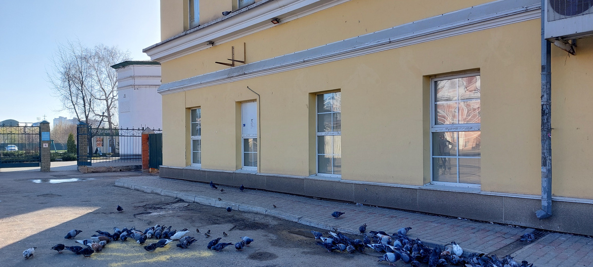   Жду автобус. Приехала к 8.20, а дождалась автобуса к 9.20!!! И погуляла и , наконец-то, магазин семена нашла рядом с остановкой!