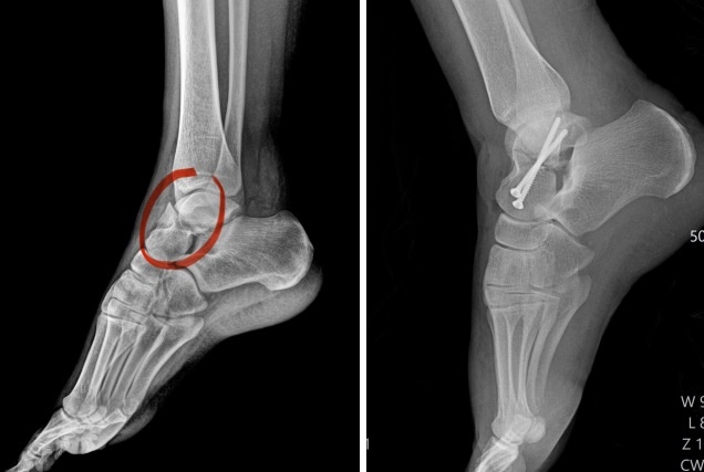     Фото: пресс-служба облздрава