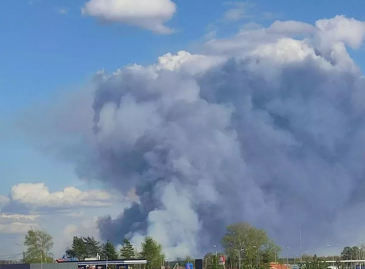     / Источник: © кадр из видео