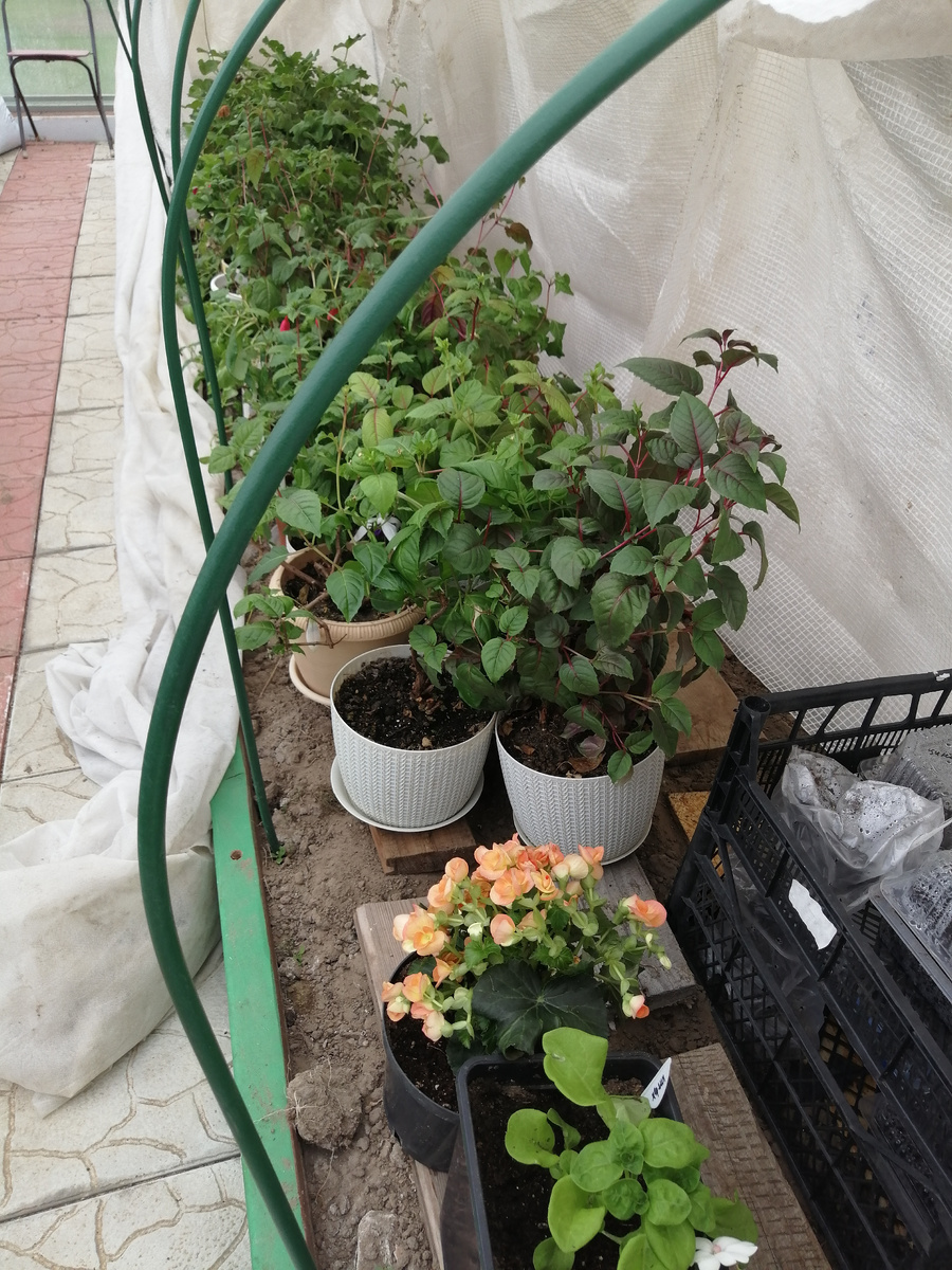 На морозные ночи включим обогреватель