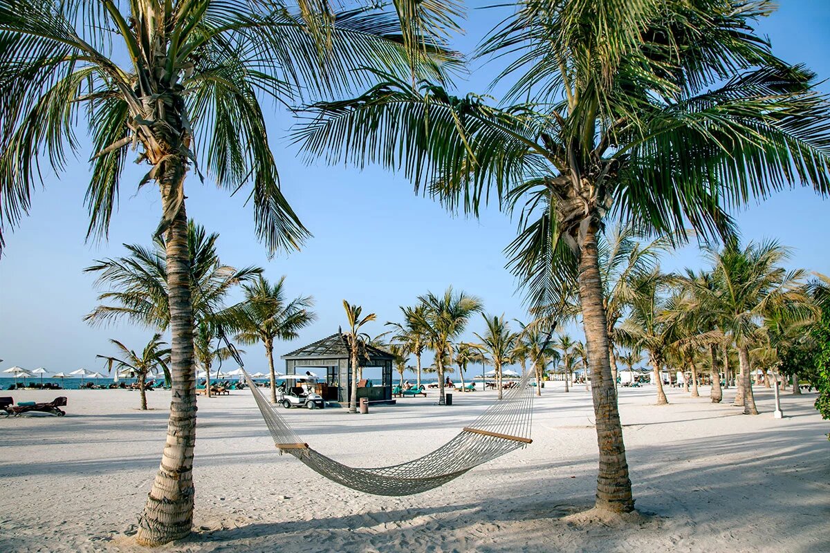    Фото: Tanya Keisha / Shutterstock.com