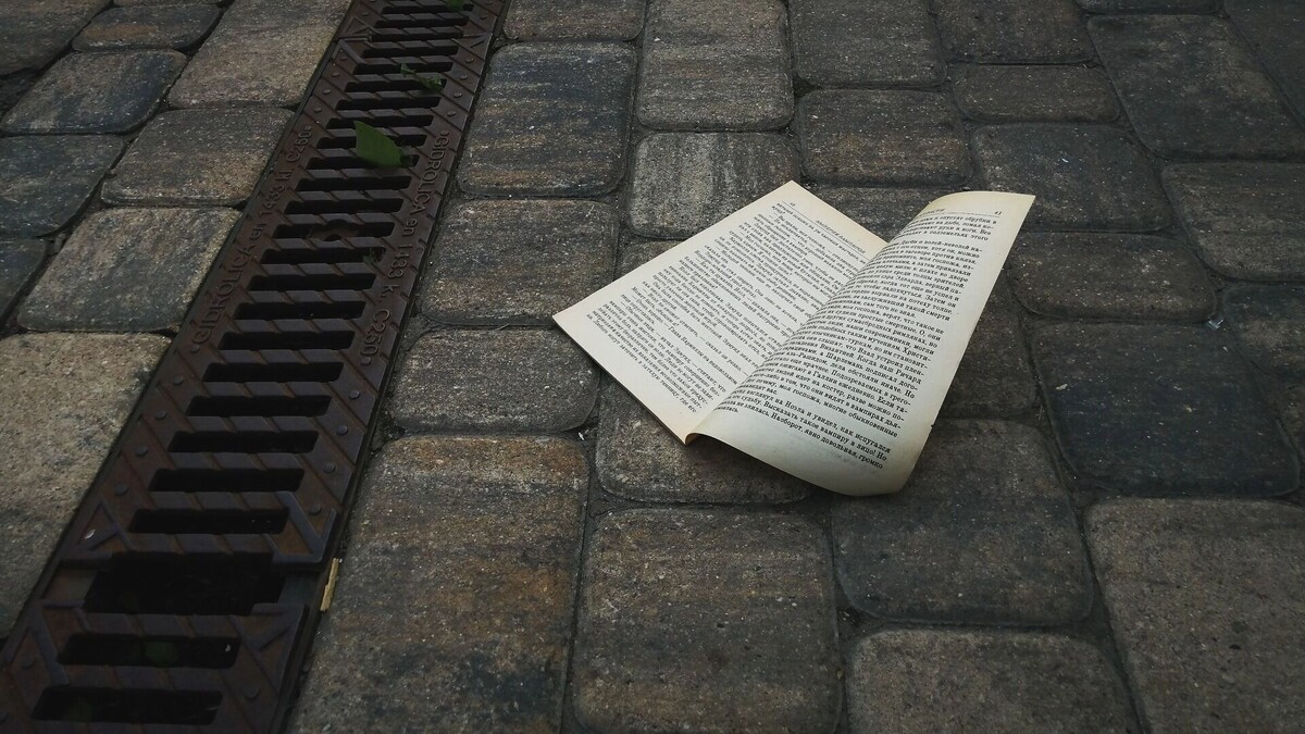     Источник: novostivolgograda.ru