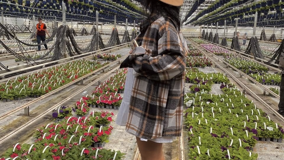 Как я разочаровалась в экскурсии Калининградской области или боль и унижение по-калининградски