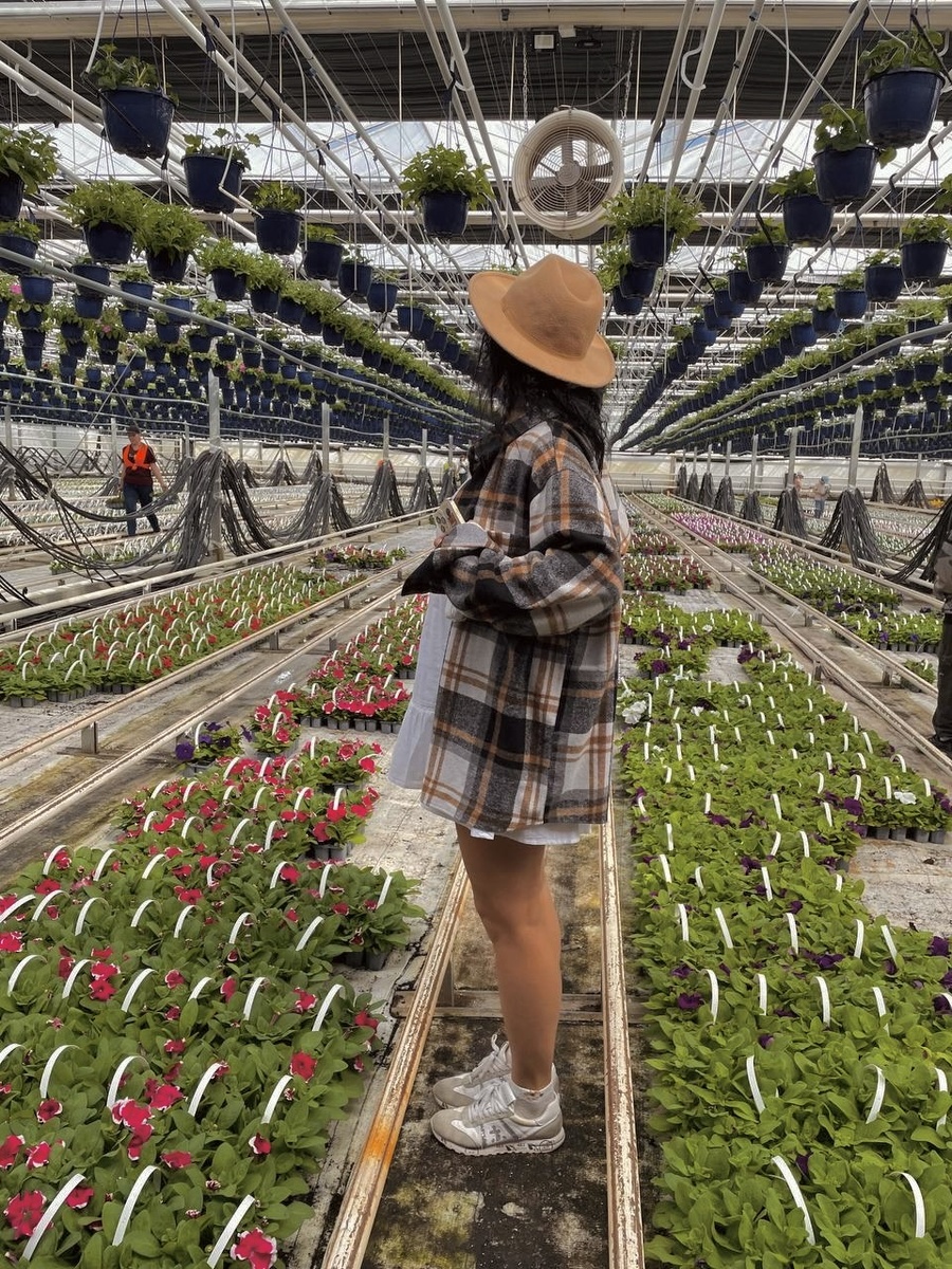 Еще ничего не подозревающая я стою посреди питомника полная надежд и предвкушения..