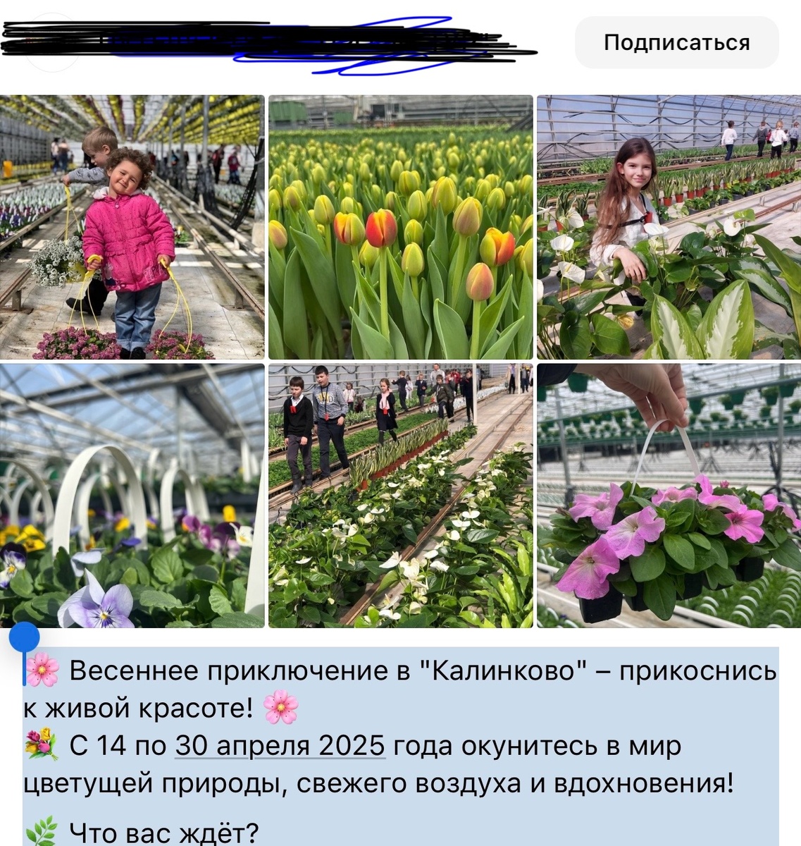 Запомните эти фотографии, воочию лицезреть которые я так страстно желала