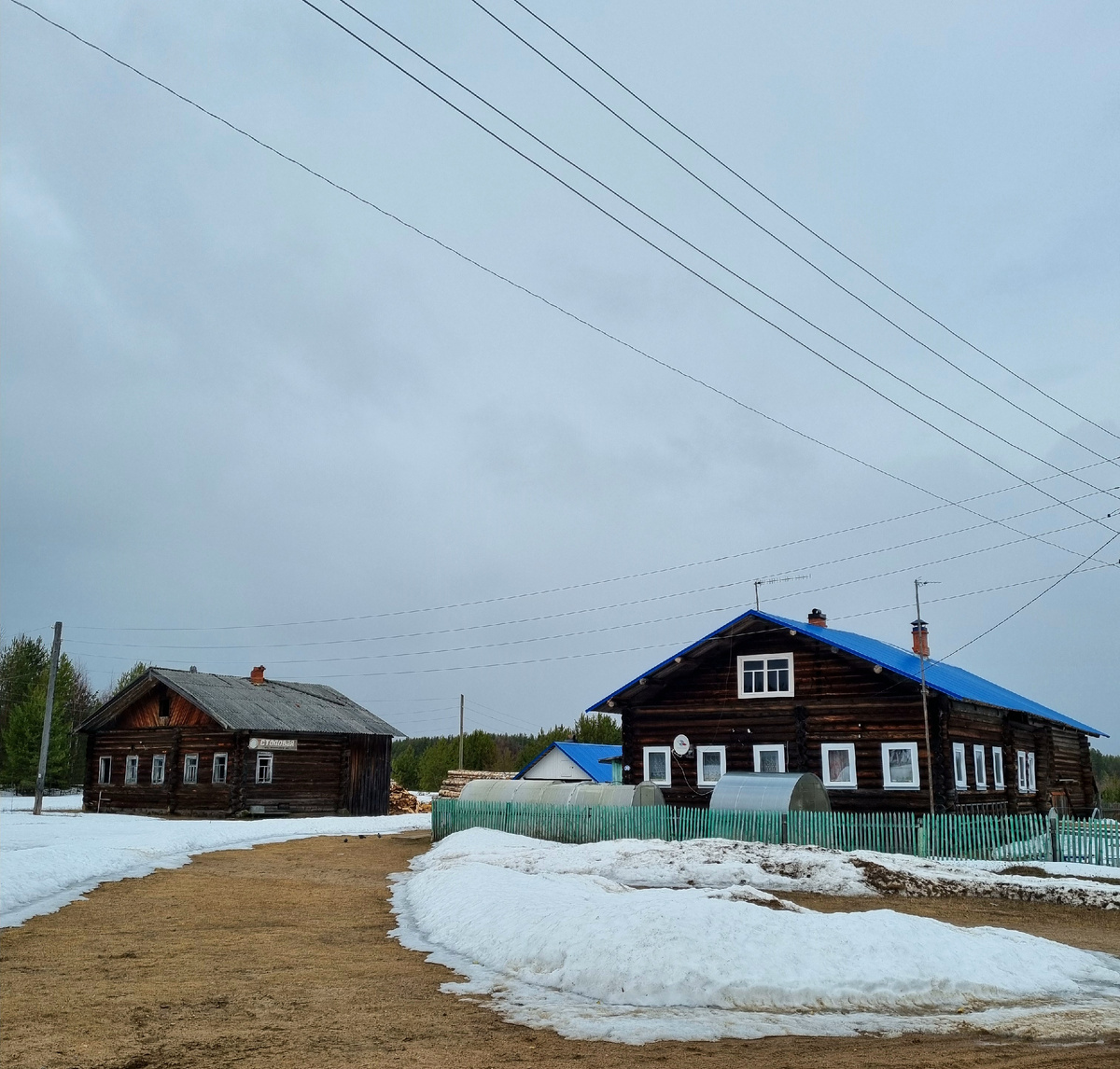 Фото автора статьи.