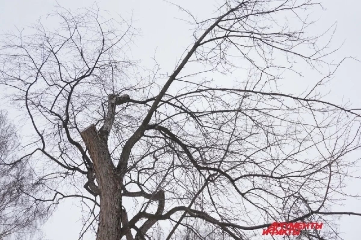    Жители Прикамья сообщают о сорванных ураганом крышах и вырванном балконе