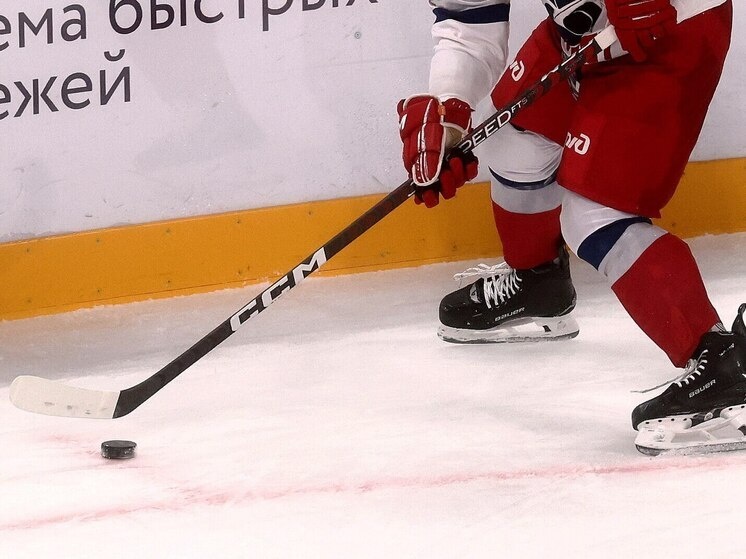     Фото: архив МК в Питере / Дарья Иванова