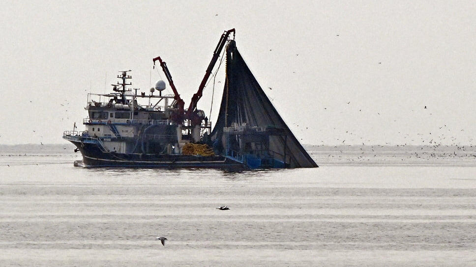 Фото: Анатолий Жданов / Коммерсантъ